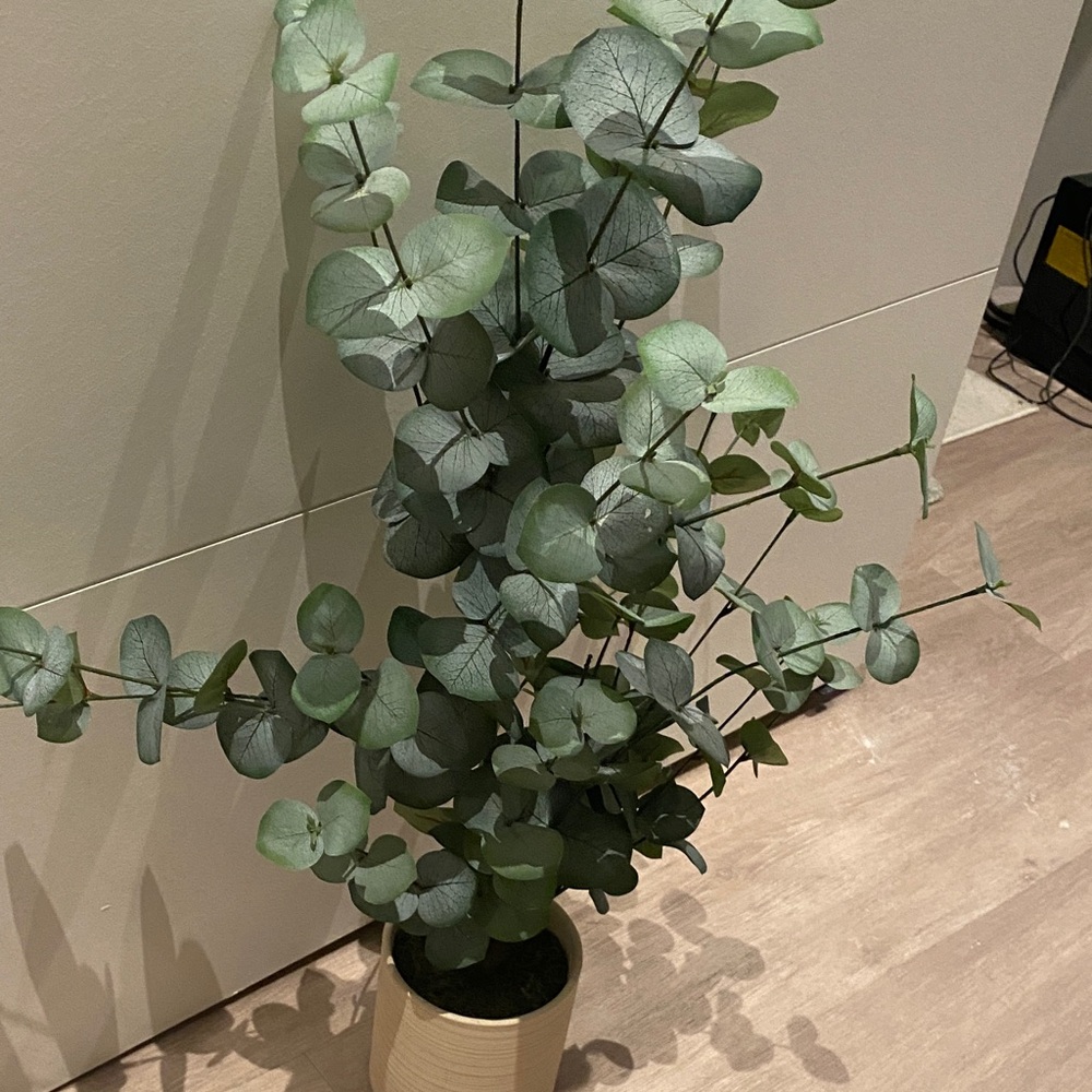 Faux Green Eucalyptus Plant in Tan Pot